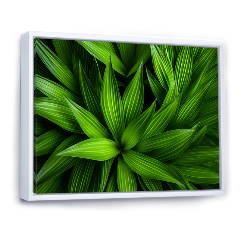 Greenerys Gaze sur impression sur toile, Cadre flottant blanc, H 30 po x l 40 po x P 1,5 po