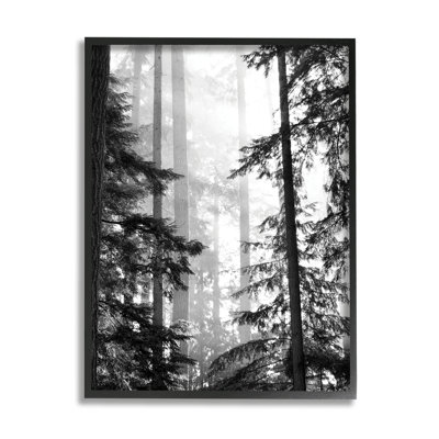 Forest Light Shining Through Tall Trees Landscape Photography XXL Black Framed Giclee Texturized Art by Gail Peck
