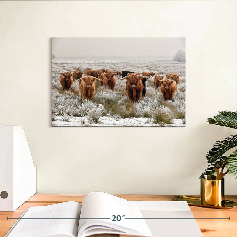 Winter Highland Cows, H 8 po x l 12 po