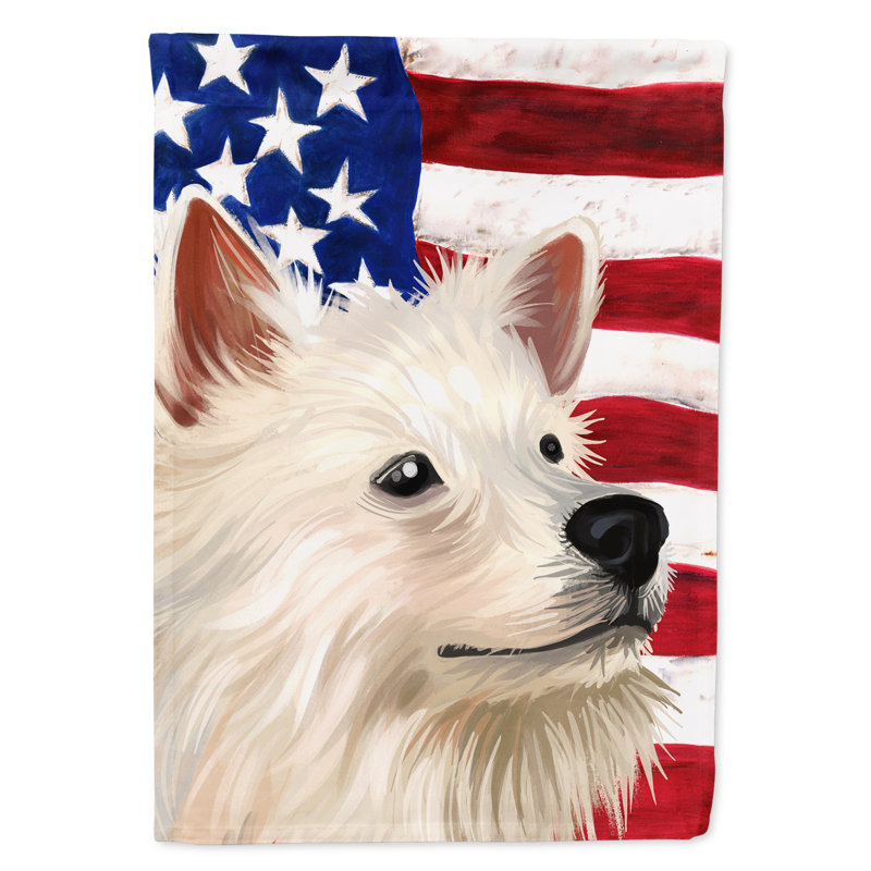 Polyester à 2 côtés 28 x 40 po drapeau maison, Spitz indien