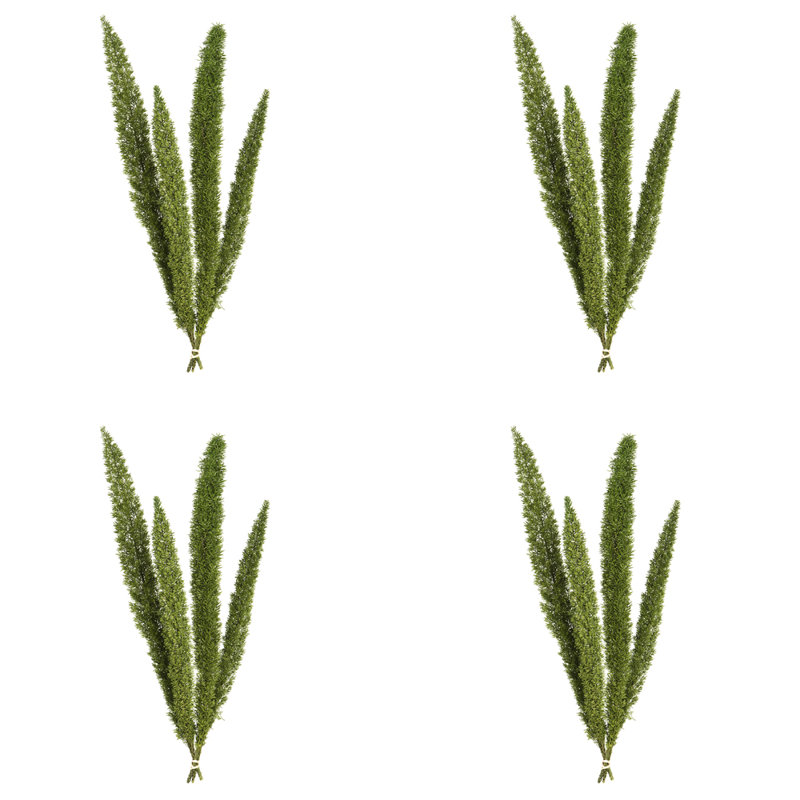 8 plantes