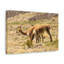 No Frame Print on Canvas-1614944582