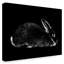 «Rabbit Portrait» par Hollifield, reproduction de peinture à l'acrylique sur toile tendue-30364361