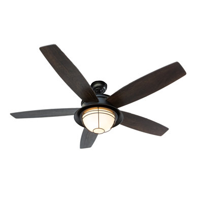 Braylin 52 inch Indoor/Outdoor Matte Black Ceiling Fan with LED Light Kit and Remote Control