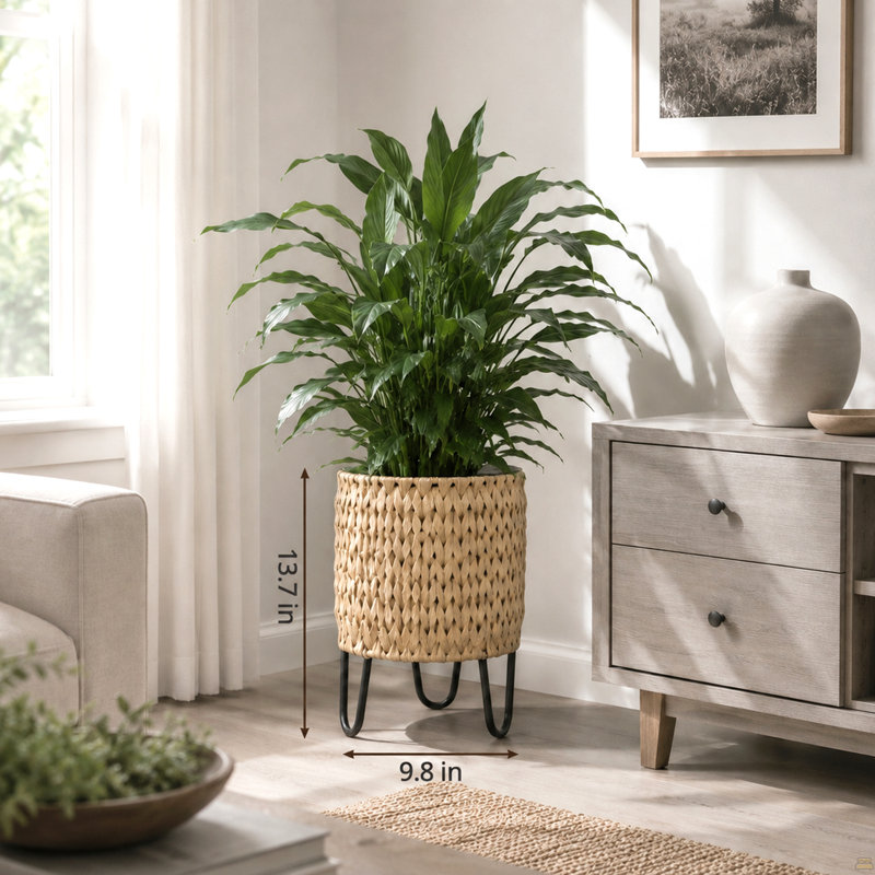 Pot à fleurs 9,8 "en polyrotin avec support, pot en osier de résine naturelle et pieds en acier
