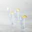 Zwiesel Glas Echo Crystal Glass, 11 Oz. Tumbler (Set of 4), Clear
