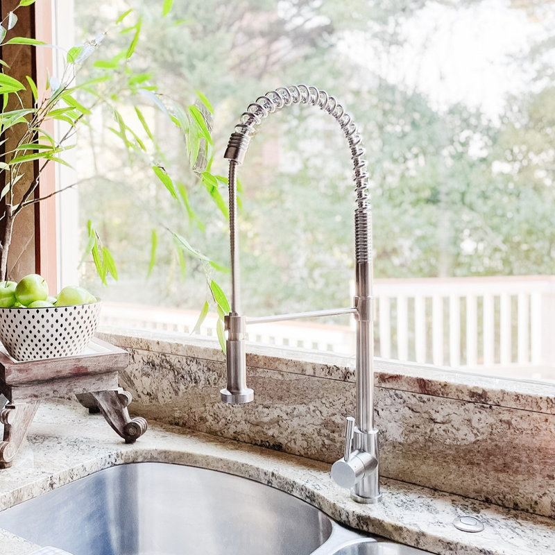 Lulani Soneva Spout Single Handle Kitchen Faucet With Accessories
