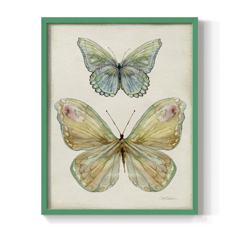 «Botanical Butterfly II», reproduction encadrée - bois massif, H 15 po x l 12 po, Vert