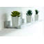 Cardentey 2 Piece Floating Shelf-241097386-241097384