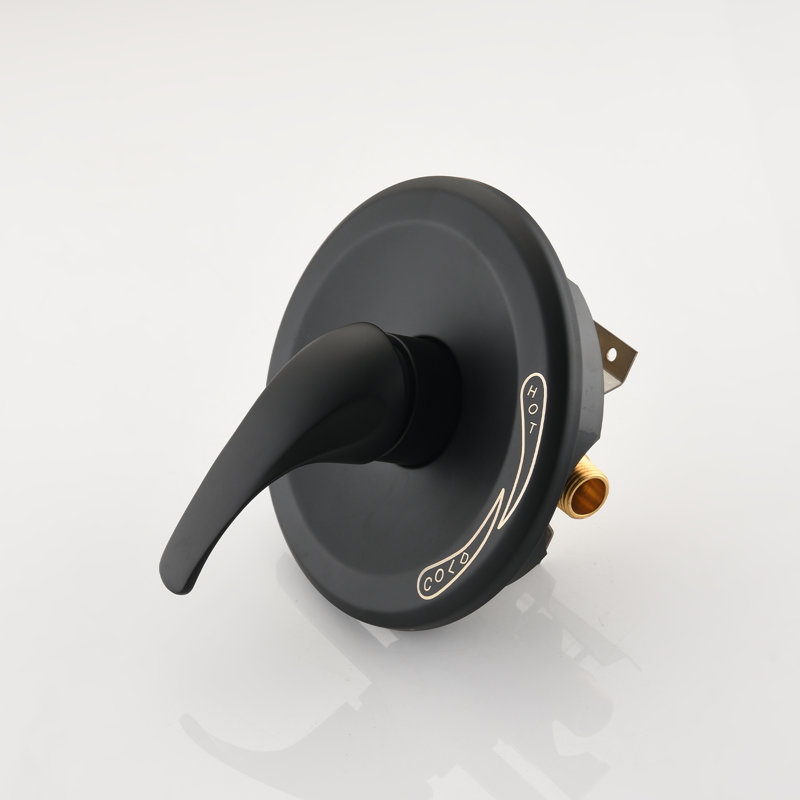 Shower Valve, Matte Black