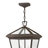 Lalla 3-Light Outdoor Hanging Lantern