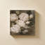 «Vintage Peony» par Lanie Loreth - Impression sur toile-1654327600