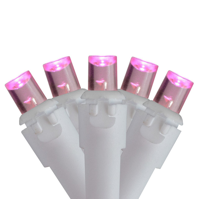 Goldena 105'' LED String Lights, Pink, 100