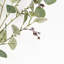 Branches de feuillage à tige artificielle de style maison de campagne artificielle pour remplissage de vase, centre de table de décoration de bureau à domicile