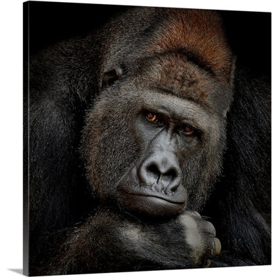 "One Moment in contact" par Antje Wenner-Braun, reproduction de photo sur toile