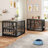 Gurmukh Corner Dog Crate Furniture with Divider and Bowls-379907554-379907552