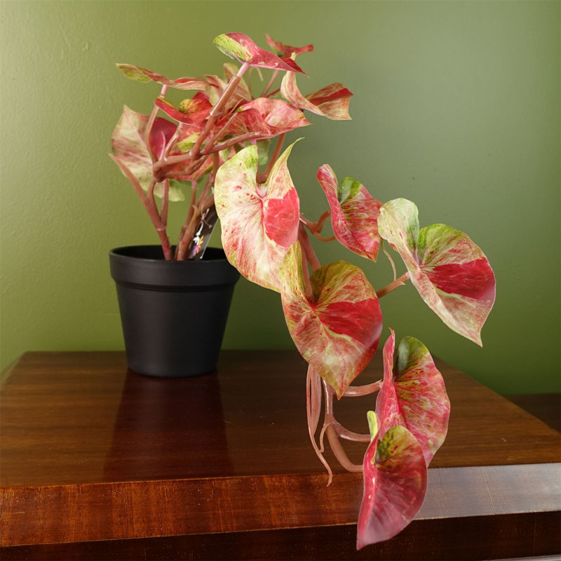 Artificial Foliage Plant in Pot, 30cm H X 50cm  W X 40cm D
