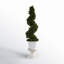 31'' Faux Cedar Topiary in Ceramic Urn