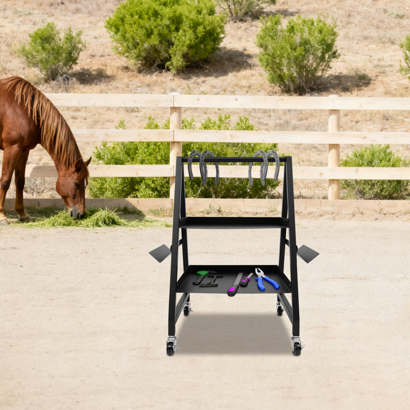 Chariot à outils à 2 niveaux avec roues