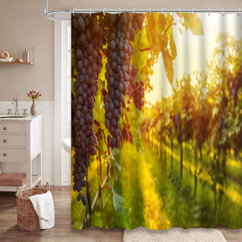 Rideau de douche Grape Harvest Vineyard Sunset, L 72 po x l 84 po