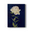PRETTY AS A PEONY I - reproduction d'art sur toile tendue-2093192490