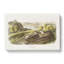 White Footed Mice by J.W. Audubon - Wrapped Canvas-55305102