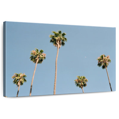 Harnek Towering Palm Trees