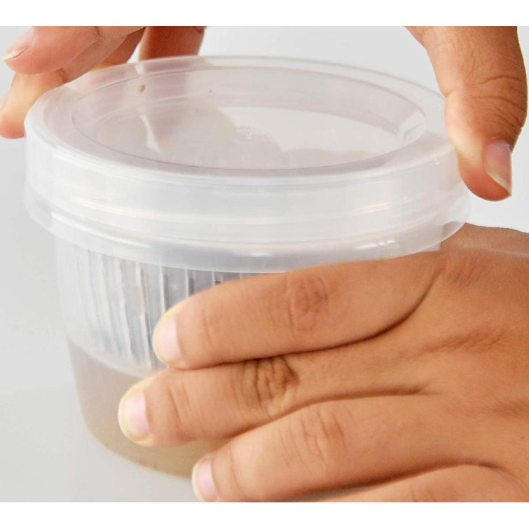 https://assets.wfcdn.com/im/50894638/resize-h755-w755%5Ecompr-r85/2160/216050250/Clear+Plastic+Storage+Container+With+Removable+Strainer+And+Lid%2C+Small+Food+Storage+Container.jpg