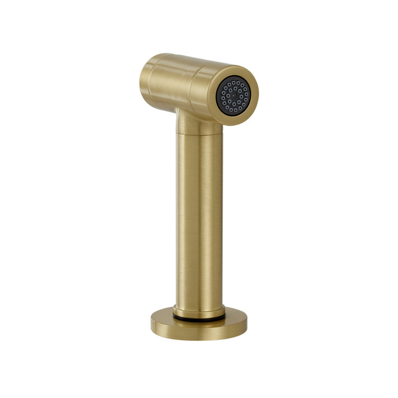 Click Modern Kitchen Hand Spray, Brushed Brass