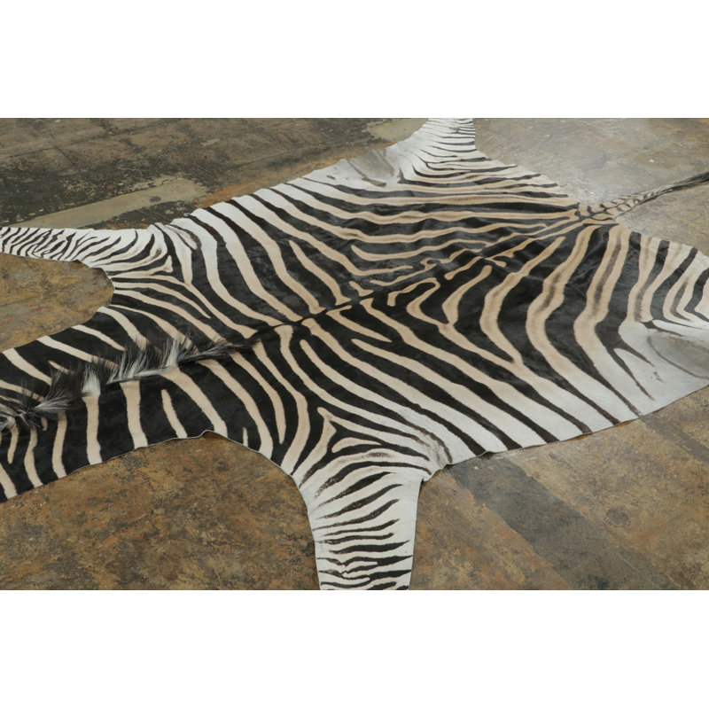 Modern Area Rug