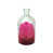 Rose / transparent est en rupture de stock