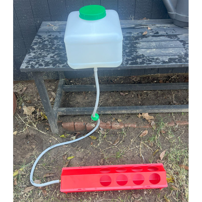 Ensemble d'arrosage automatique pour poulets