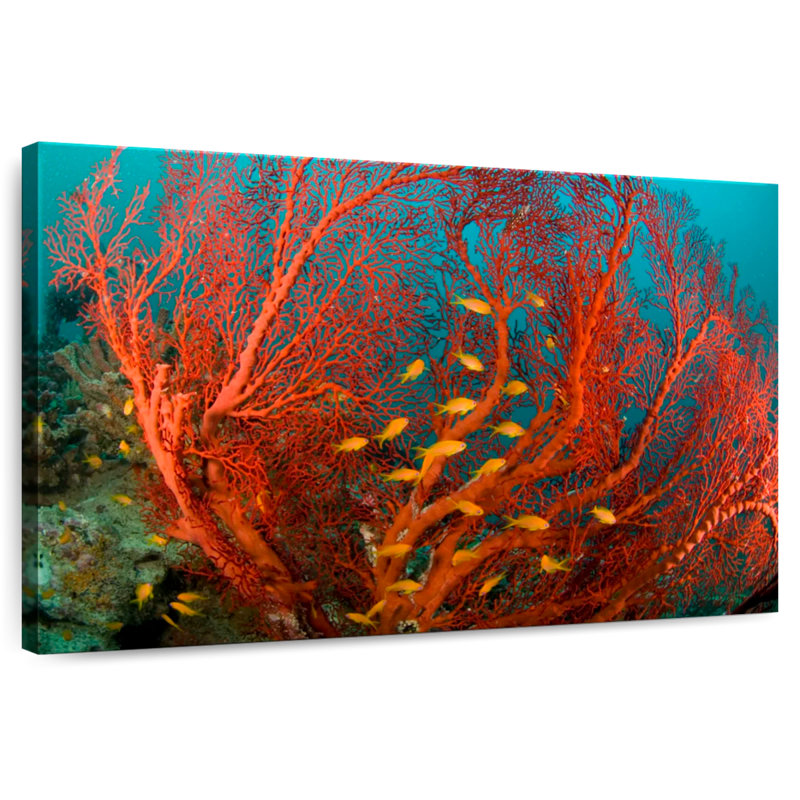 Fire Coral, 34" H x 51" W