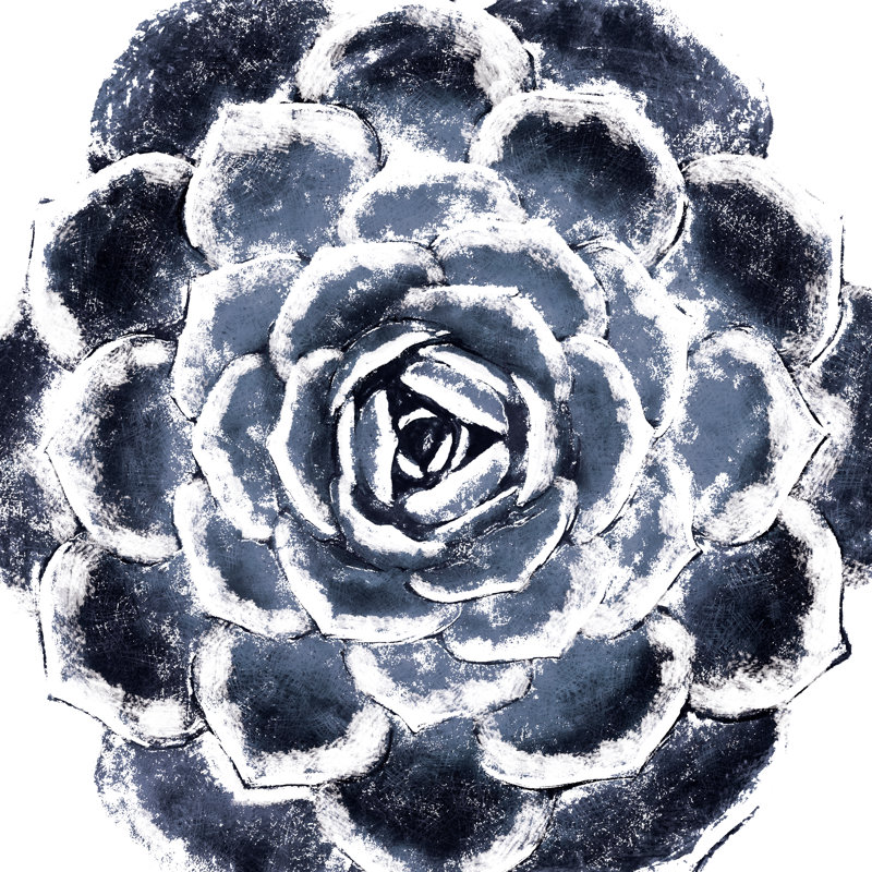 Large Navy Succulent - Wrapped Canvas Painting, 30cm H x 30cm W x 3.8cm D