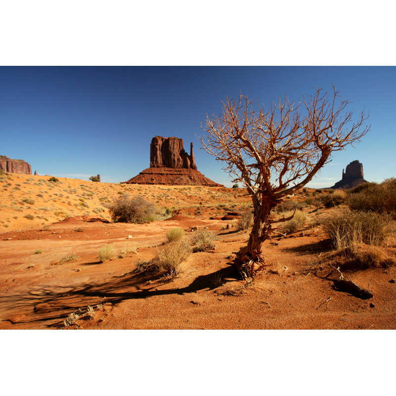 Duerr Monument Valley - Wrapped Canvas Print, 30cm H x 46cm W x 3.8cm D