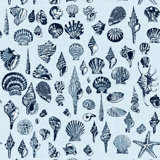 Lowcountry Love Shells Marsh Breeze Wallpaper by Megan Molten