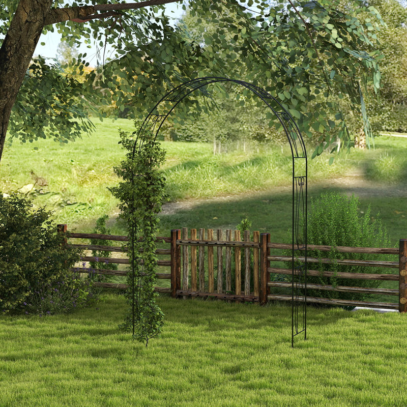 Arche de jardin en métal pour jardin d'escalade, H 92 po x l 60 po