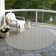 Machine Washable Indoor/Outdoor Christain ACN1432 Ivory Rug