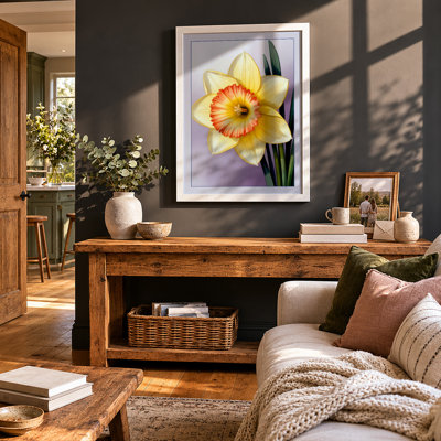 Daffodil Study Botanical - Framed Print