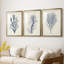 Indigo Coral IV - reproduction encadrée sur mesure de qualité supérieure mate - 3 pièces-1145162327-1145162328