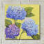 «Spring Hydrangeas II» par Tim O'Toole, art mural en verre acrylique-1785932544