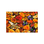 Agata Hummingbird Window