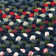 Roxborough Park Reversible Area Rug - Baltic Blue