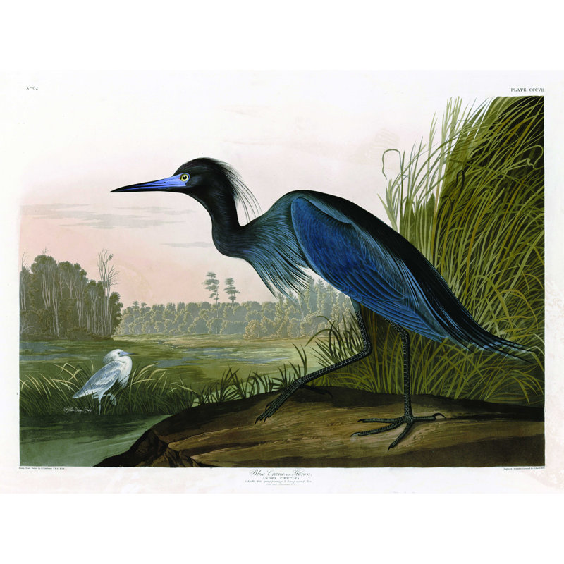 Brislington Blue Crane - reproduction d'art sur toile tendue, H 8 po x l 12 po