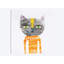 «Cool Cats I», art sur toile-30522946-72569730-72569735
