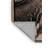 Washable Lappet faced Vulture Wildlife Area Rug-1974716632