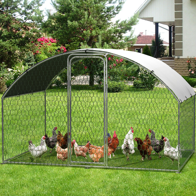 Chicken Run with Wire Mesh