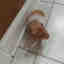 Photos des clients 6 de 6
