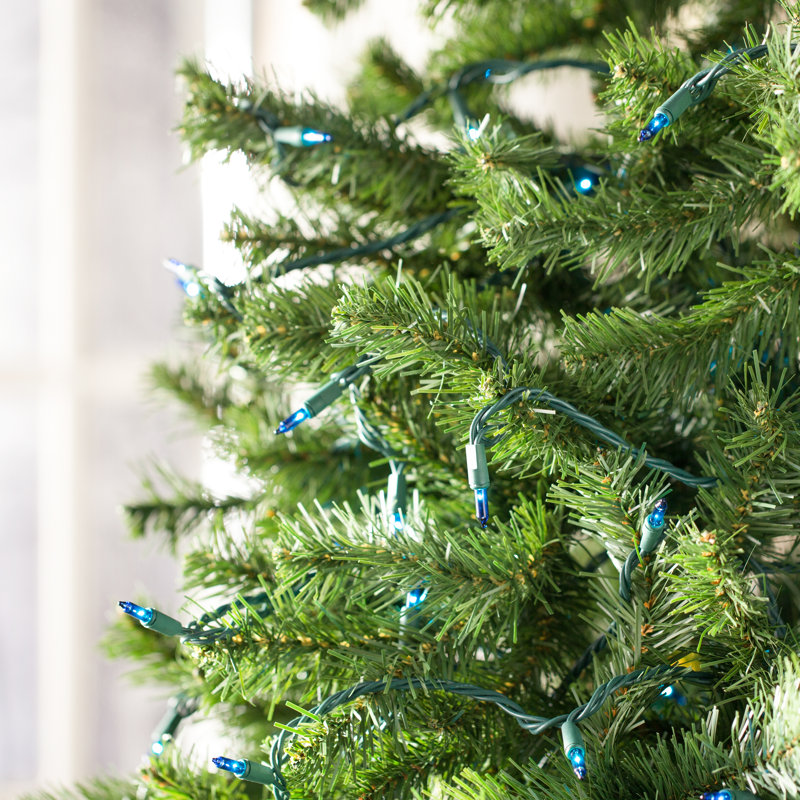 50.5' 100-Light String Lights, Blue