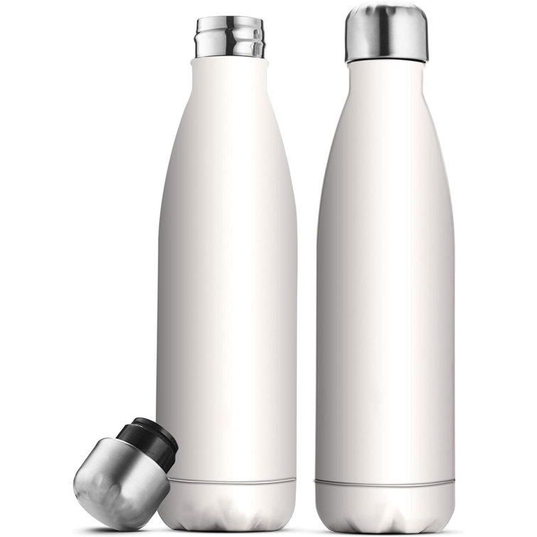 17 OZ Stainless Steel Water Bottle 